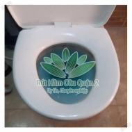 Bồn cầu bị dội nước ngược khi xả nước từ bồn cầu khác