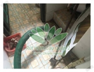 Bồn cầu bị nghẹt và dịch vụ sửa chữa bồn cầu tại nhà