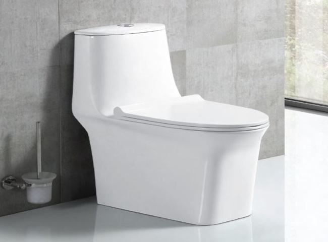 Sử dụng bồn cầu đúng cách để tránh bị chảy nước