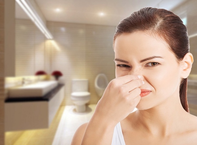 Giải pháp khắc phục tình trạng bồn cầu mới có mùi hôi khó chịu
