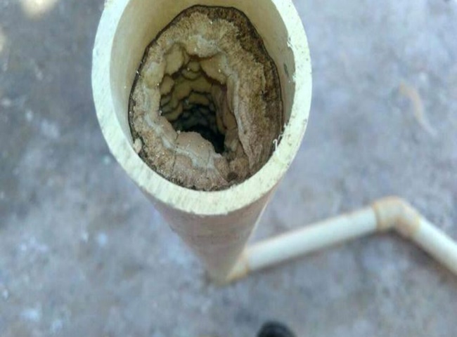 Ống tho&aacute;t tắc nghẽn dẫn đến m&ugrave;i h&ocirc;i kh&oacute; chịu