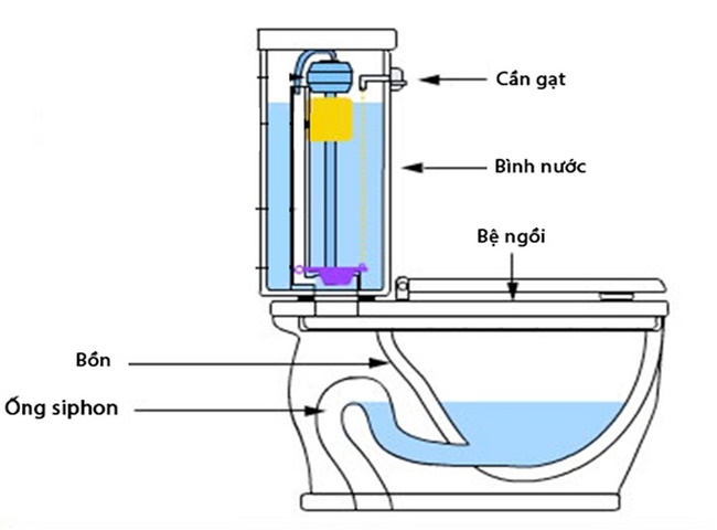 Lượng nước ở xi ph&ocirc;ng &iacute;t sẽ l&agrave;m giảm khả năng xử l&yacute; m&ugrave;i h&ocirc;i
