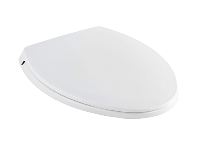 Thương hiệu nắp bồn cầu Toto chất lượng