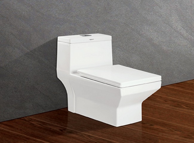 Thiết kế nắp bồn cầu Viglacera độc đáo