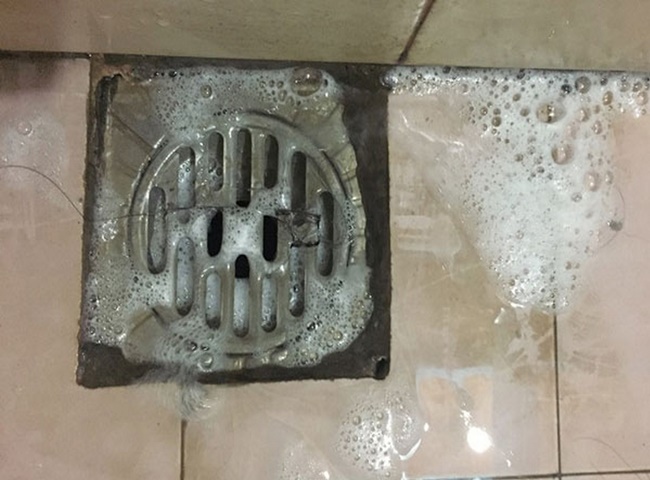 Đường cống thoát sàn có thể bị tắc nghẽn do nhiều nguyên nhân