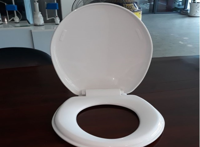 Nắp bồn cầu thông thường được ứng dụng phổ biến ở nhiều loại bồn cầu