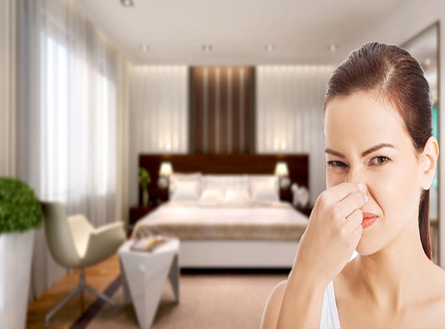 Tác hại mùi hôi nhà vệ sinh đến sức khỏe con người