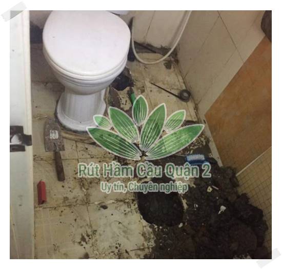 Thỉnh thoảng vệ sinh bồn cầu thường xuyên