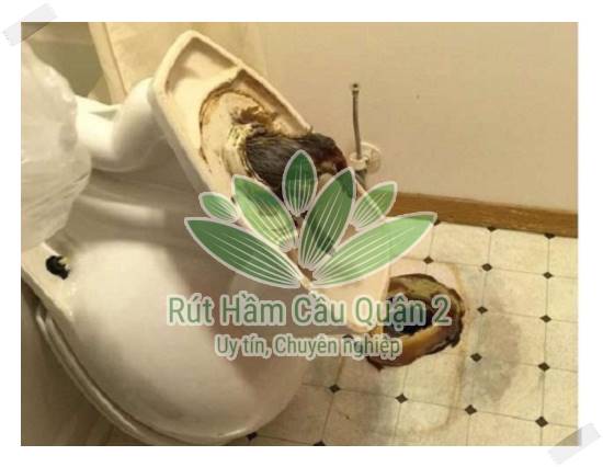 Vật dụng để lâu ngày đáy bồn bị nghẹt